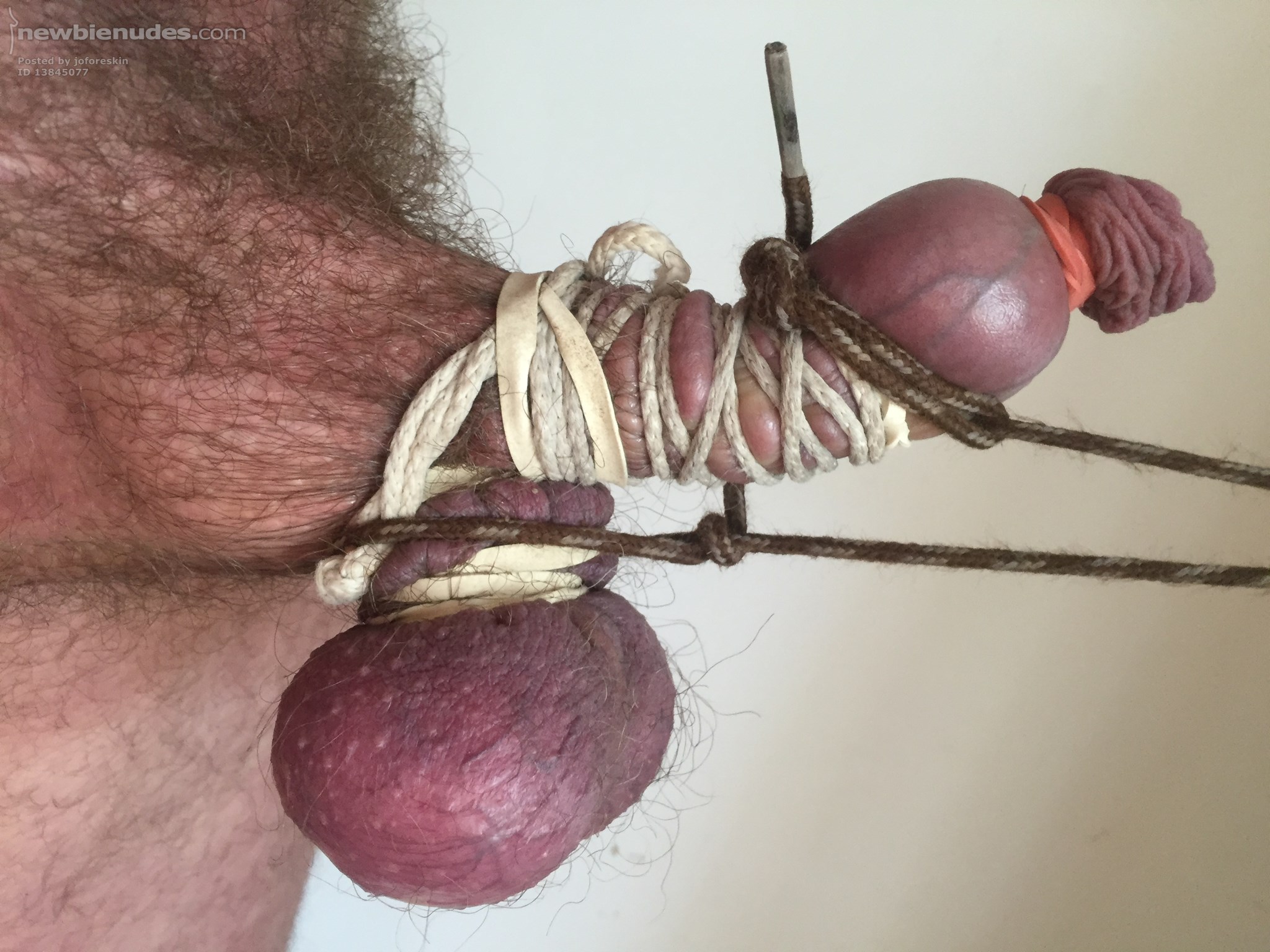 All tied up!!!!! Anyone want to swap some pics??  Pm me;)