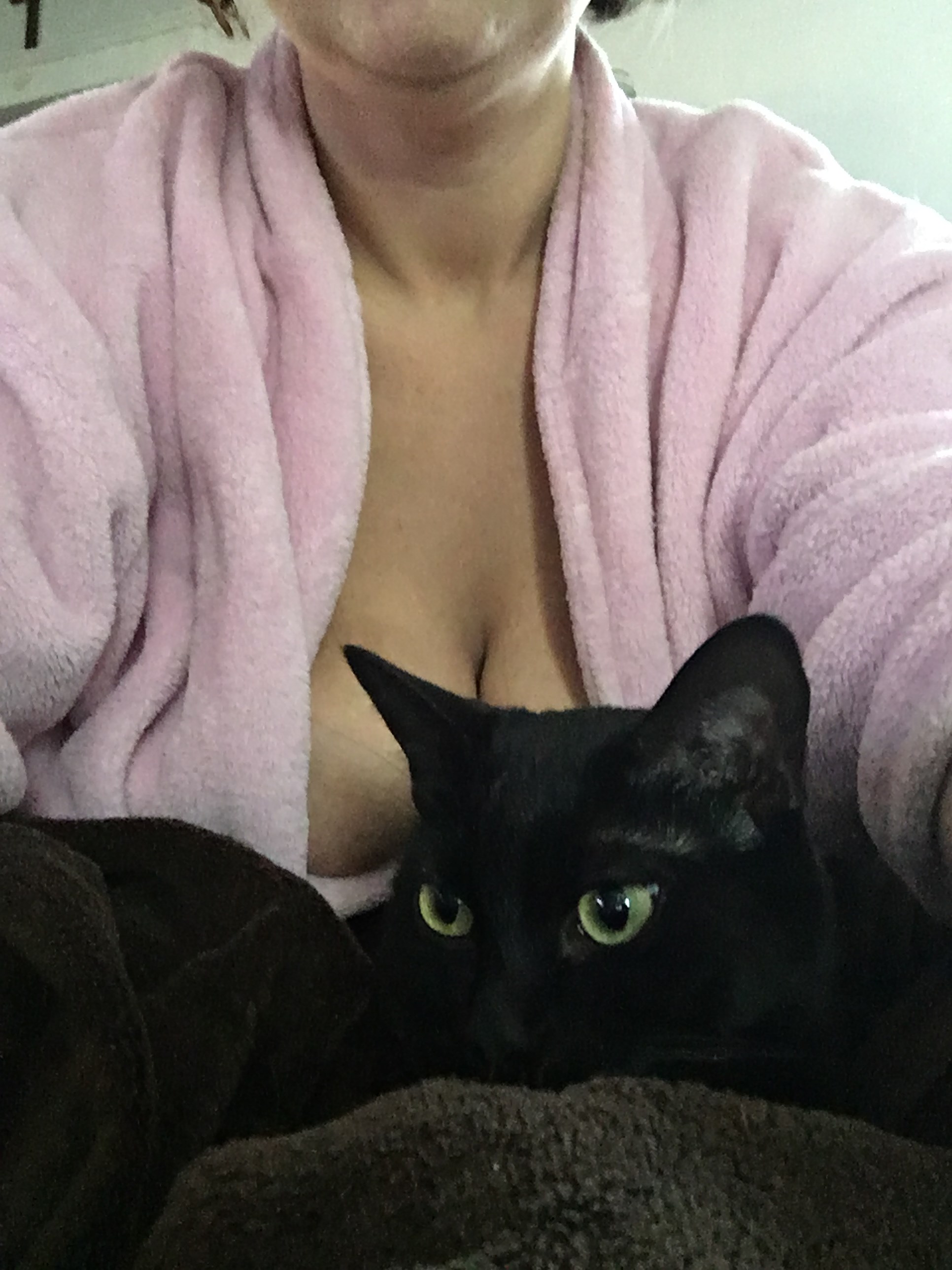 Kitties Titties