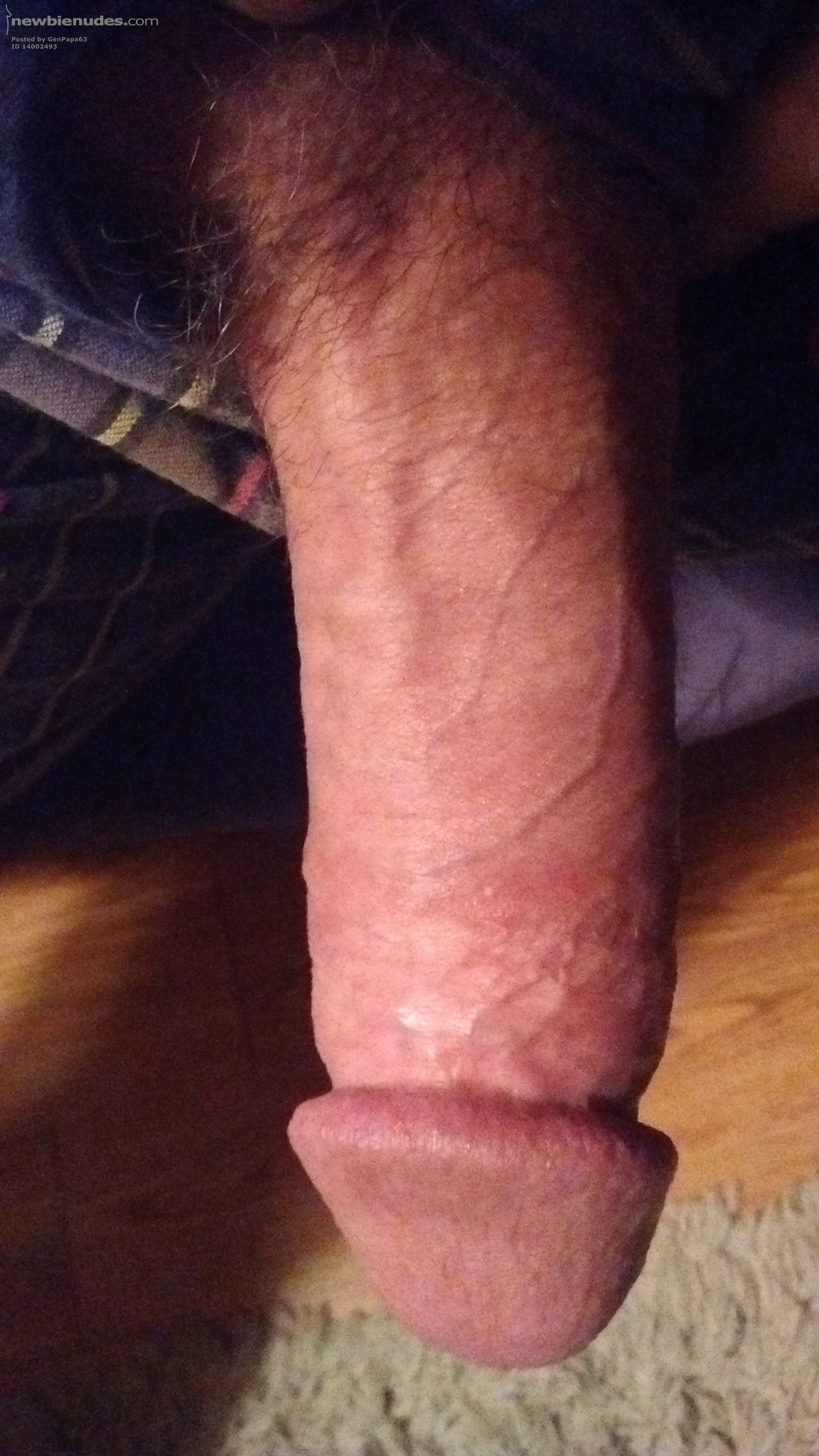 My fully erect cock! Who wants to help me explode?