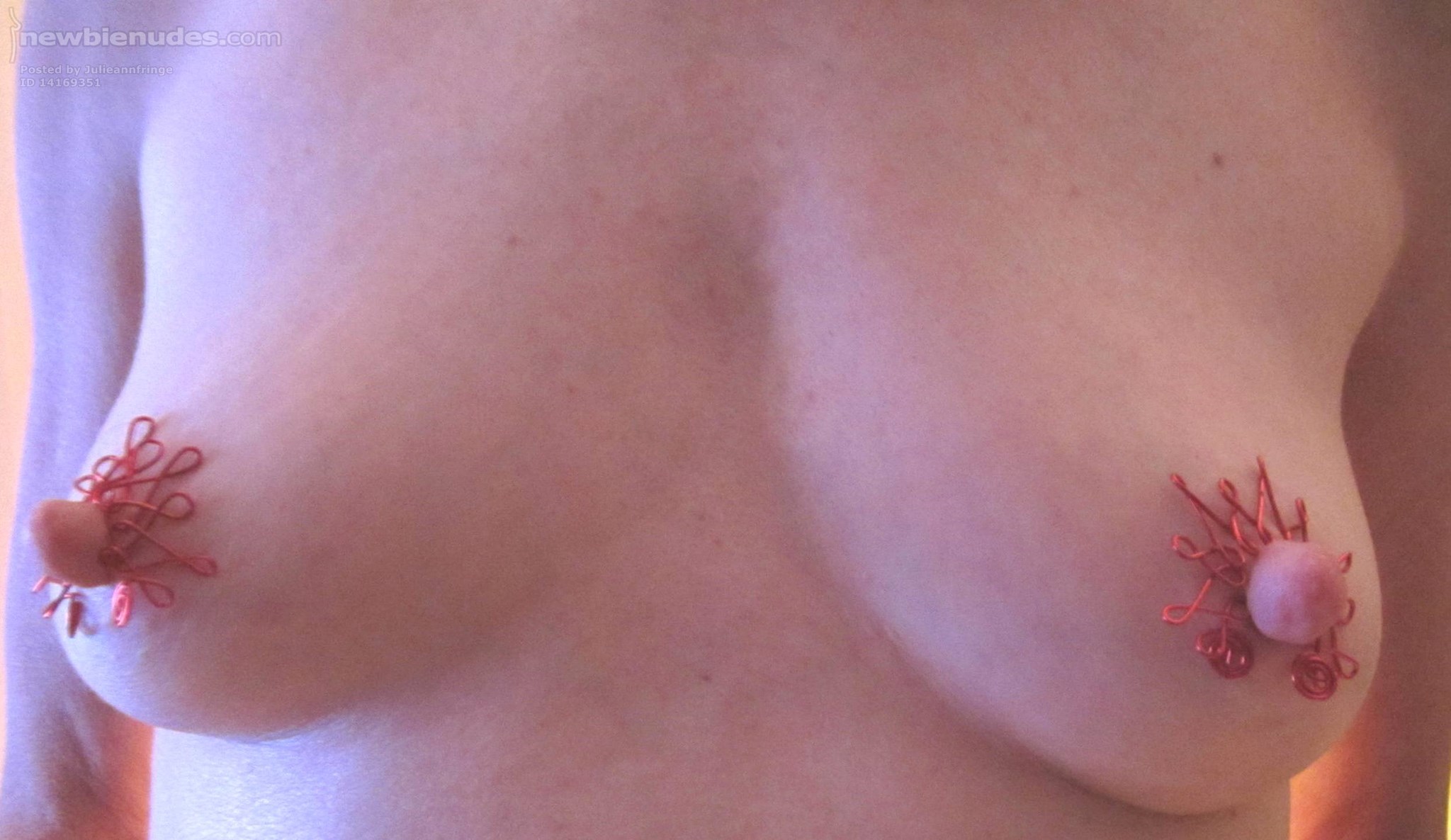 Would Anyone Like Raspberry Delight for Desert?