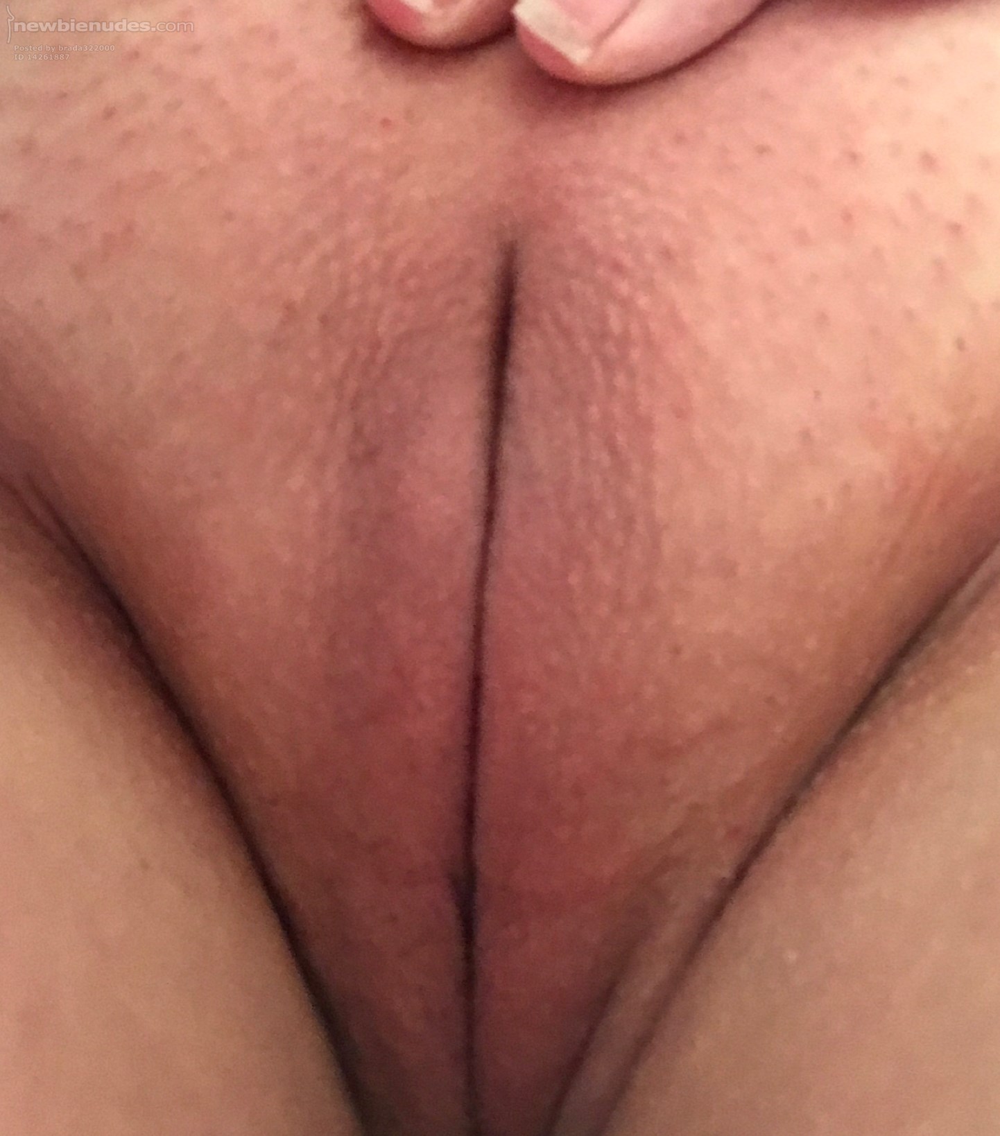 Wife's beautiful bald pussy..... would you like to slide your penis in...........