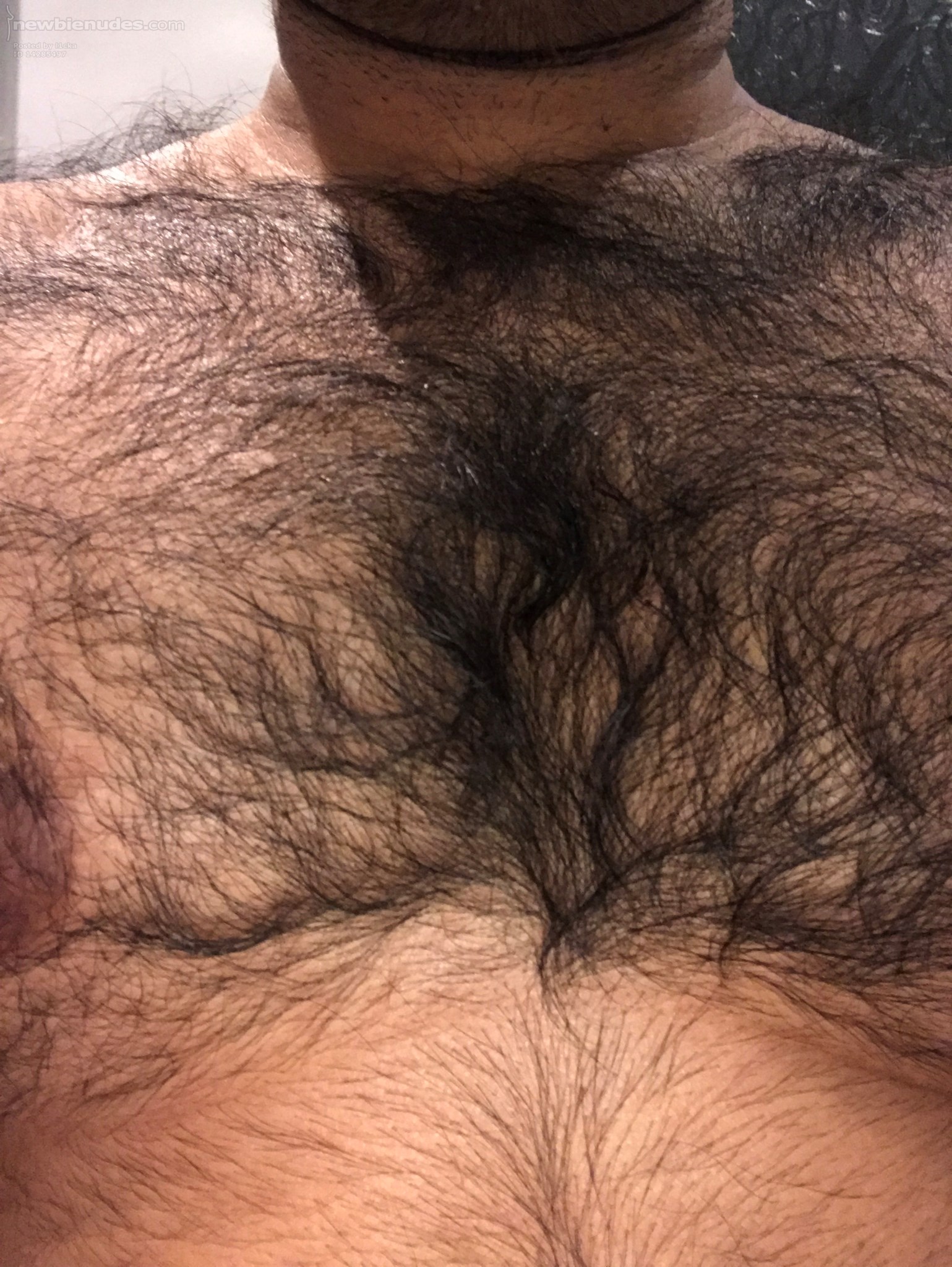 The chewbaka chest look.