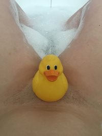 Quack quack  xx