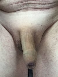 Feeling horny,my cock needs sucking