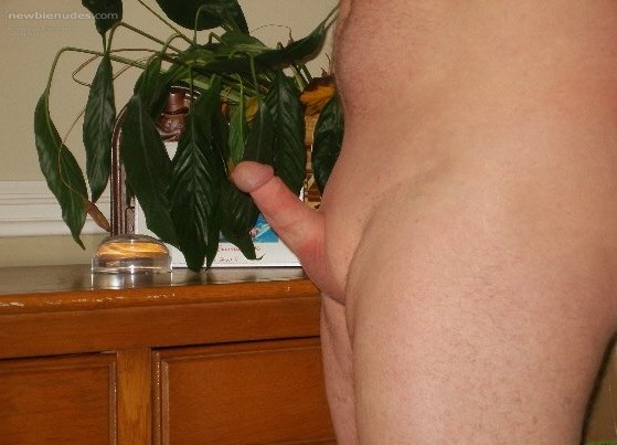 Some frontal pictures I haven't sent yet. Hope you like them and leave me some nice comments.