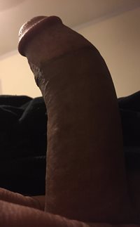 In need of a nice pussy to come and ride it