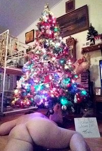 Ass under the tree