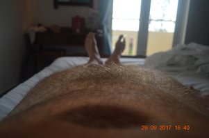 Goldenpussy: Me hairy to day to!!!