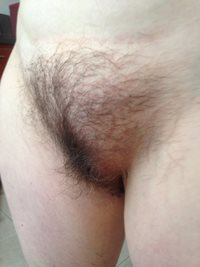 Should I shave?