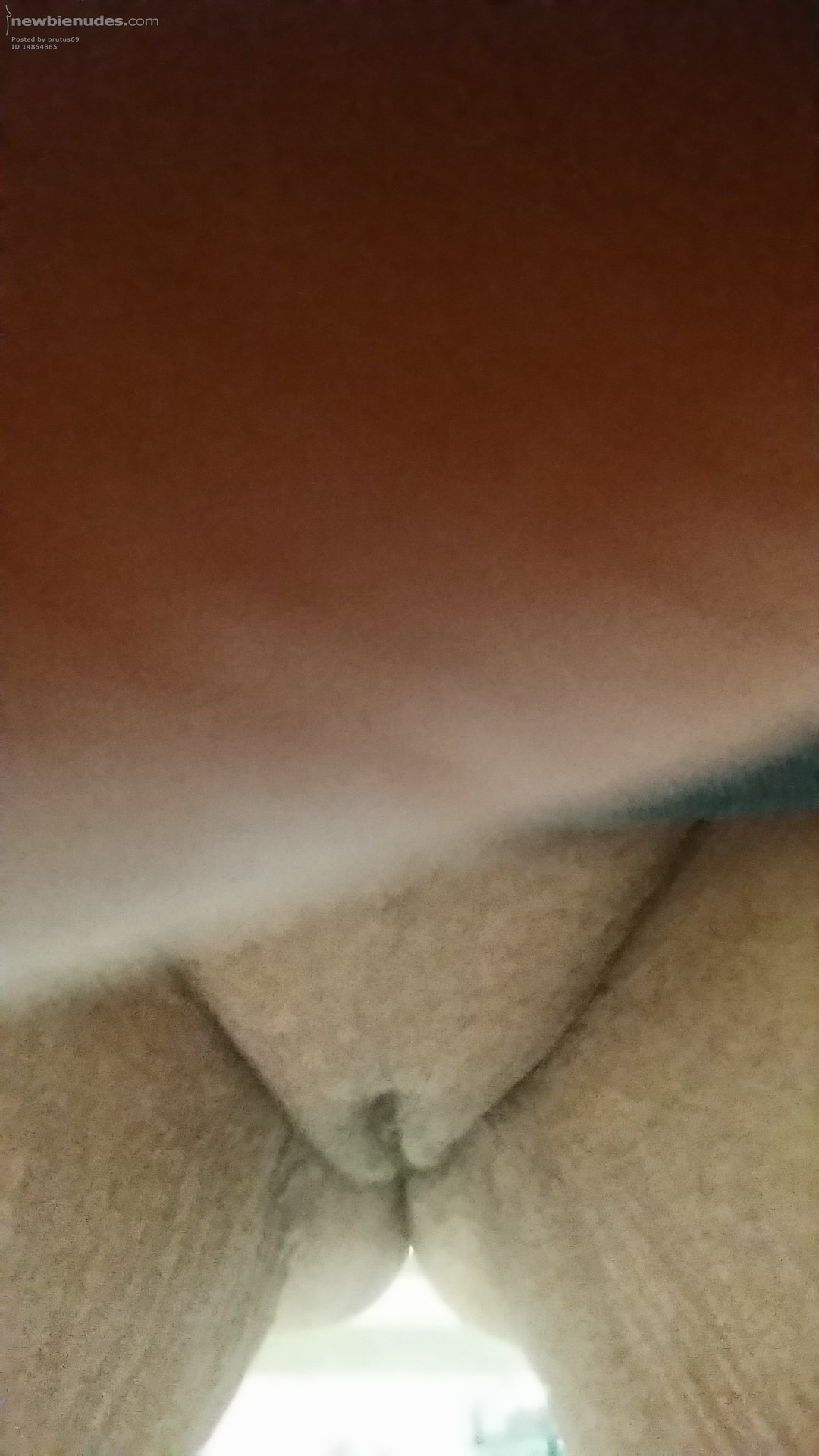 Mature shaved pussy.