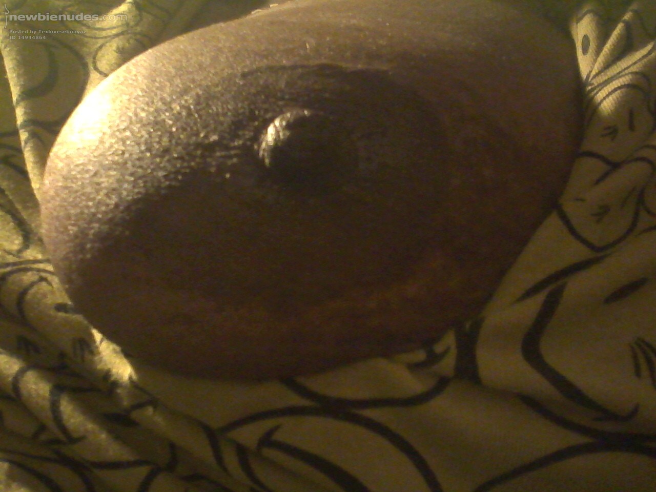 I cant leave them alone.....