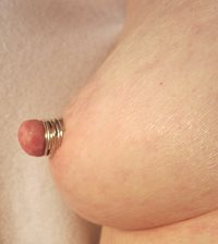 Four Silver Nipple Rings