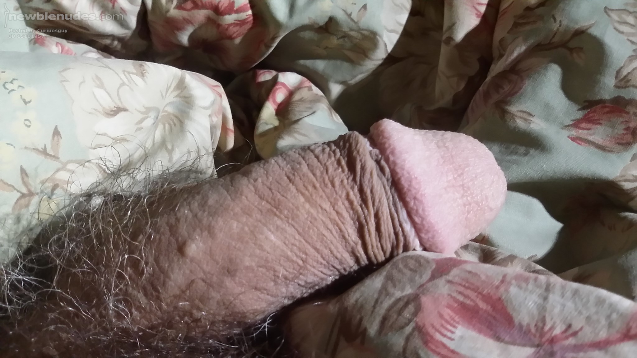 Time to wake up, sleepy cock.