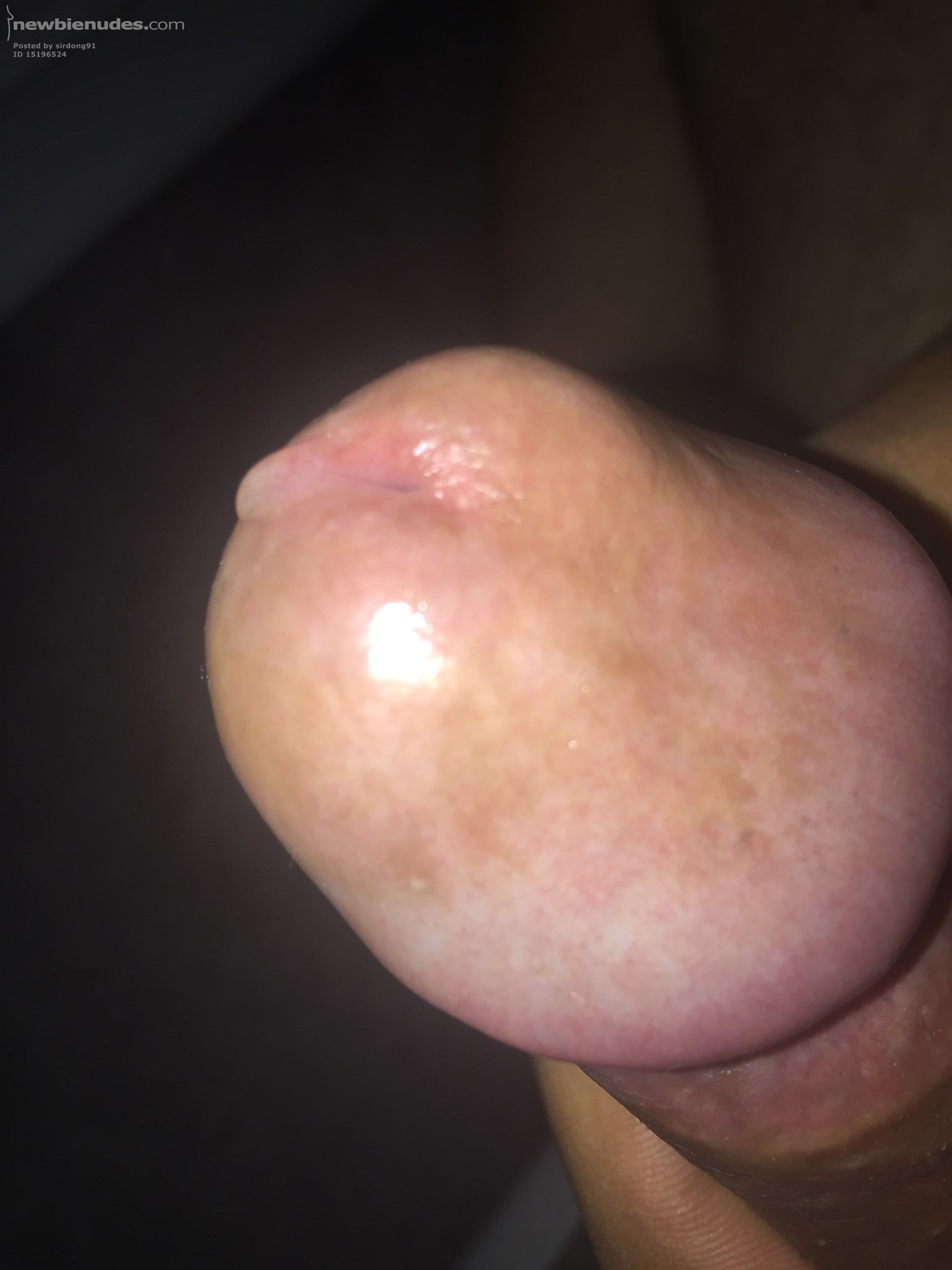 Anyone here up for some Precum?