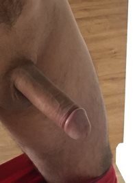 Cock ready for action