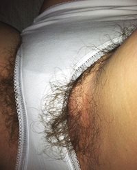 For the hairy pussy lovers