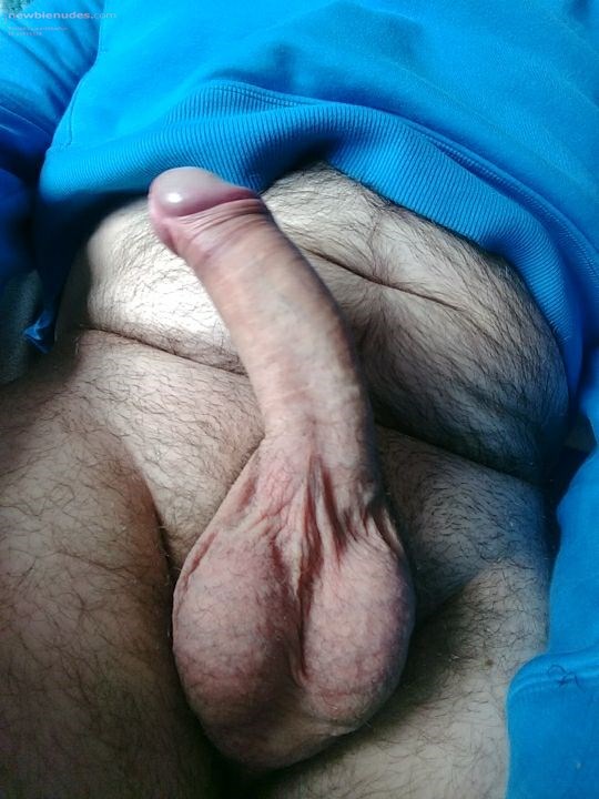 cock