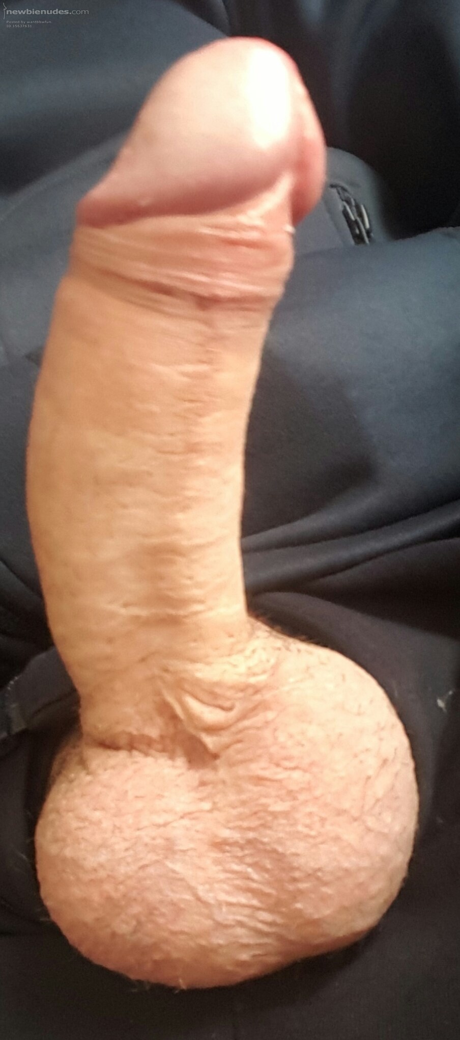 Just my cock!