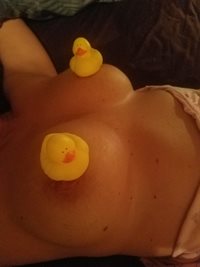 Lucky ducks!