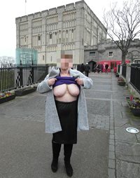 Tits at the castle