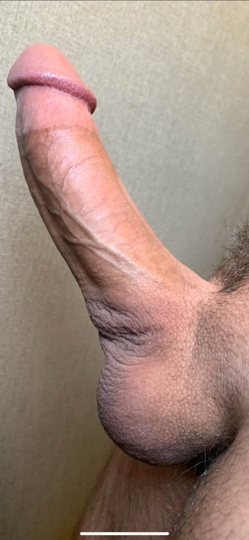 Comments and PM’s welcome