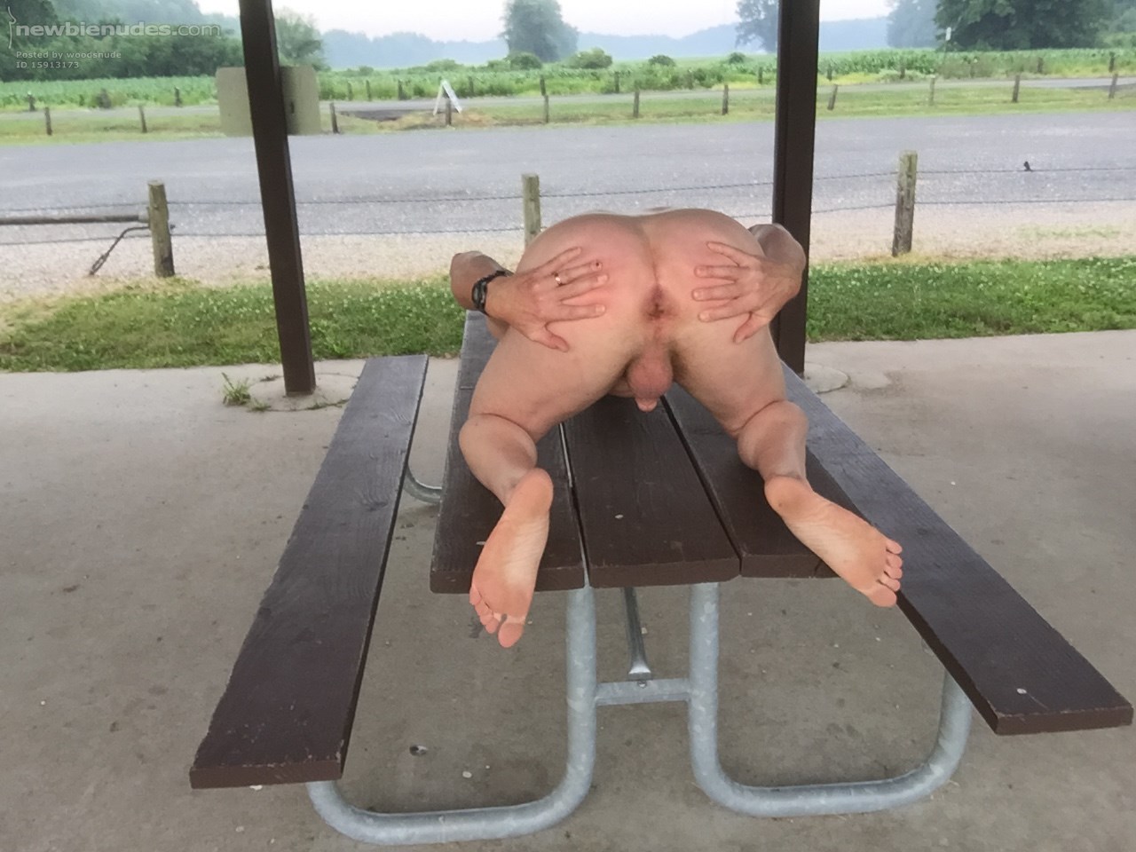 On Display next to a Road