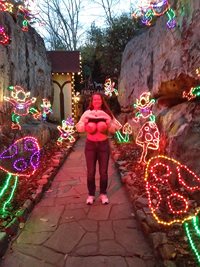 Chattanooga Christmas lights.