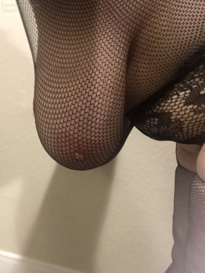 bodysuit #11 nips in nets