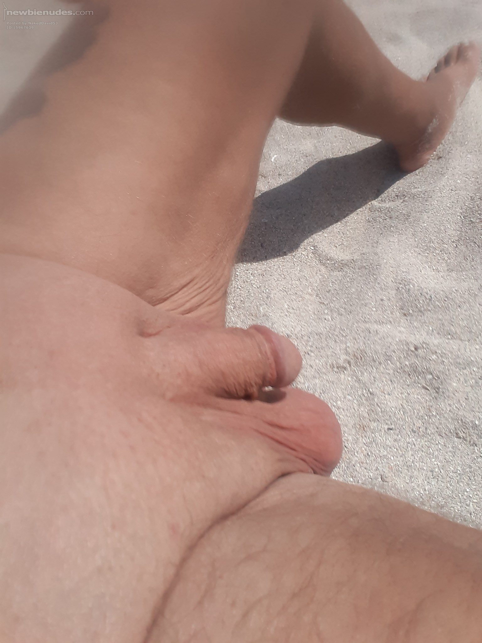 Great day at the nude beach