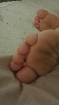 More toes
