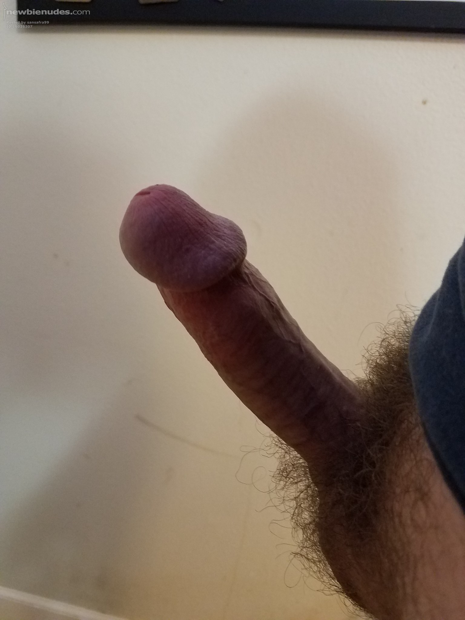 morning wood, maybe evening, who knows because its always hard