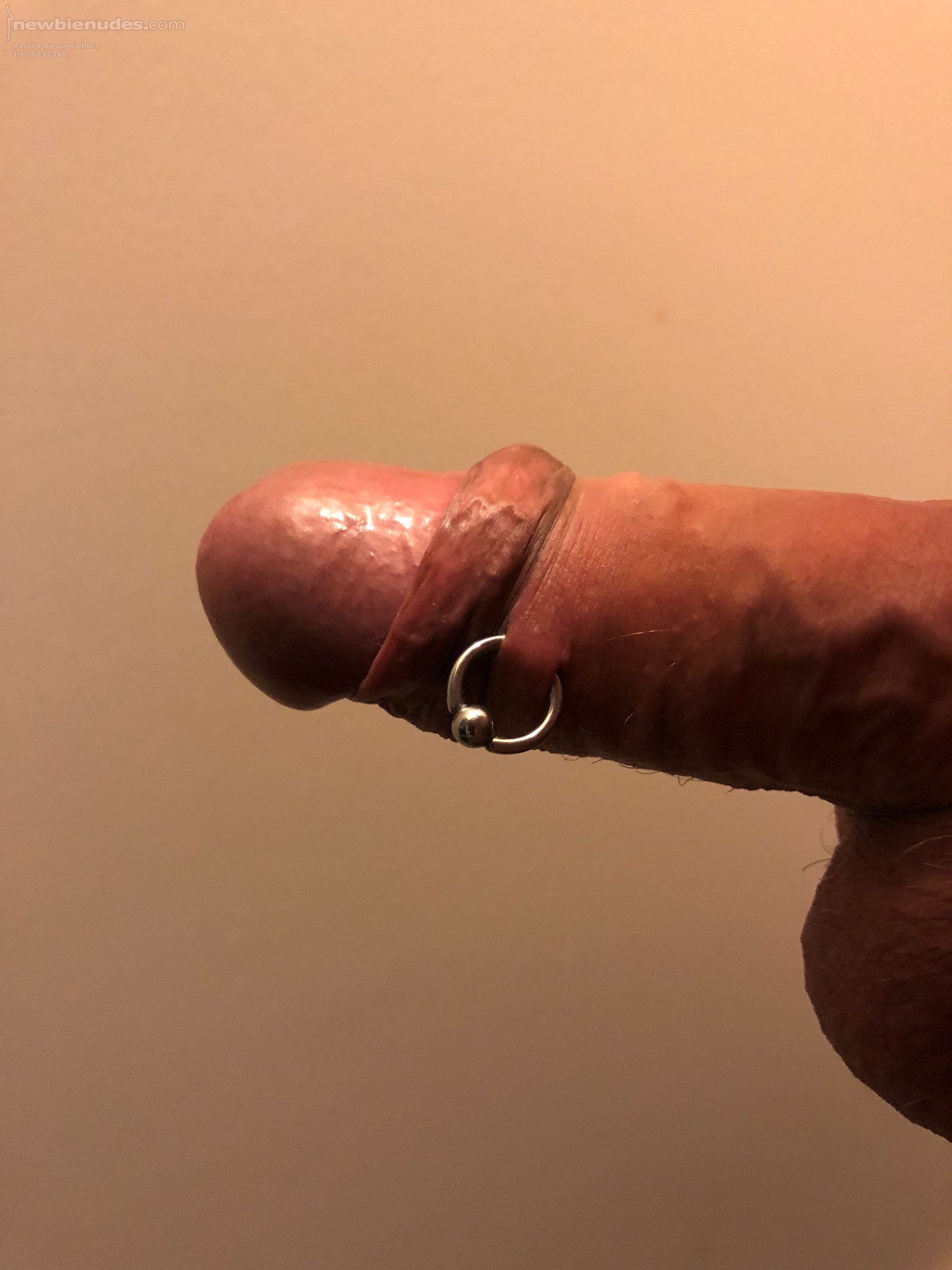 New piercings from the side. What do you think? please comment