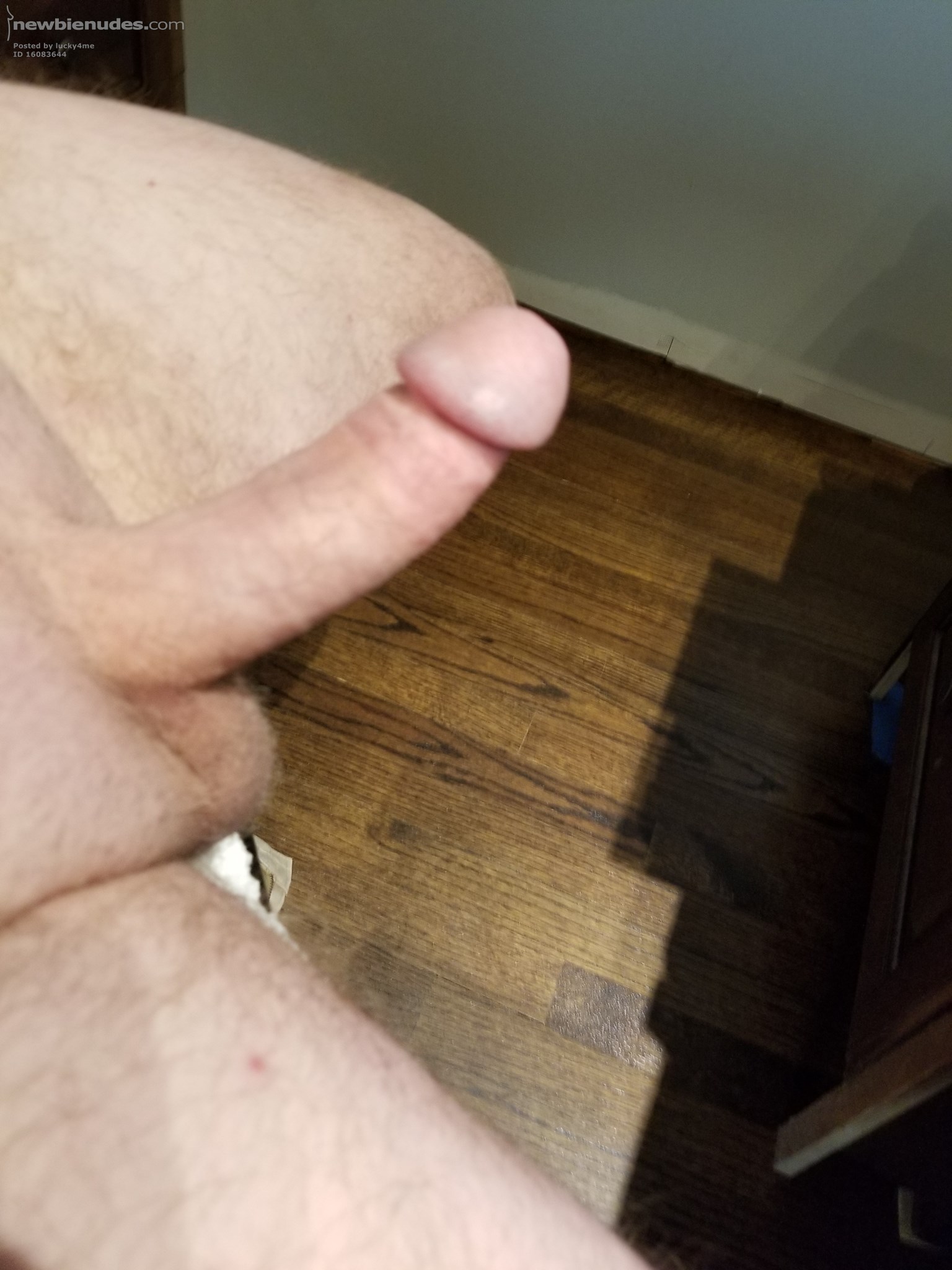 Horny and need help