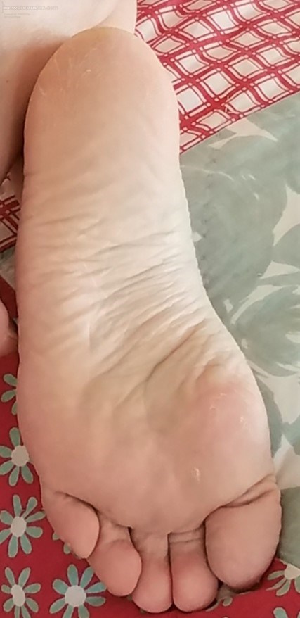 Who wants to cum on her feet ?  She'd love a tribute photo of it!