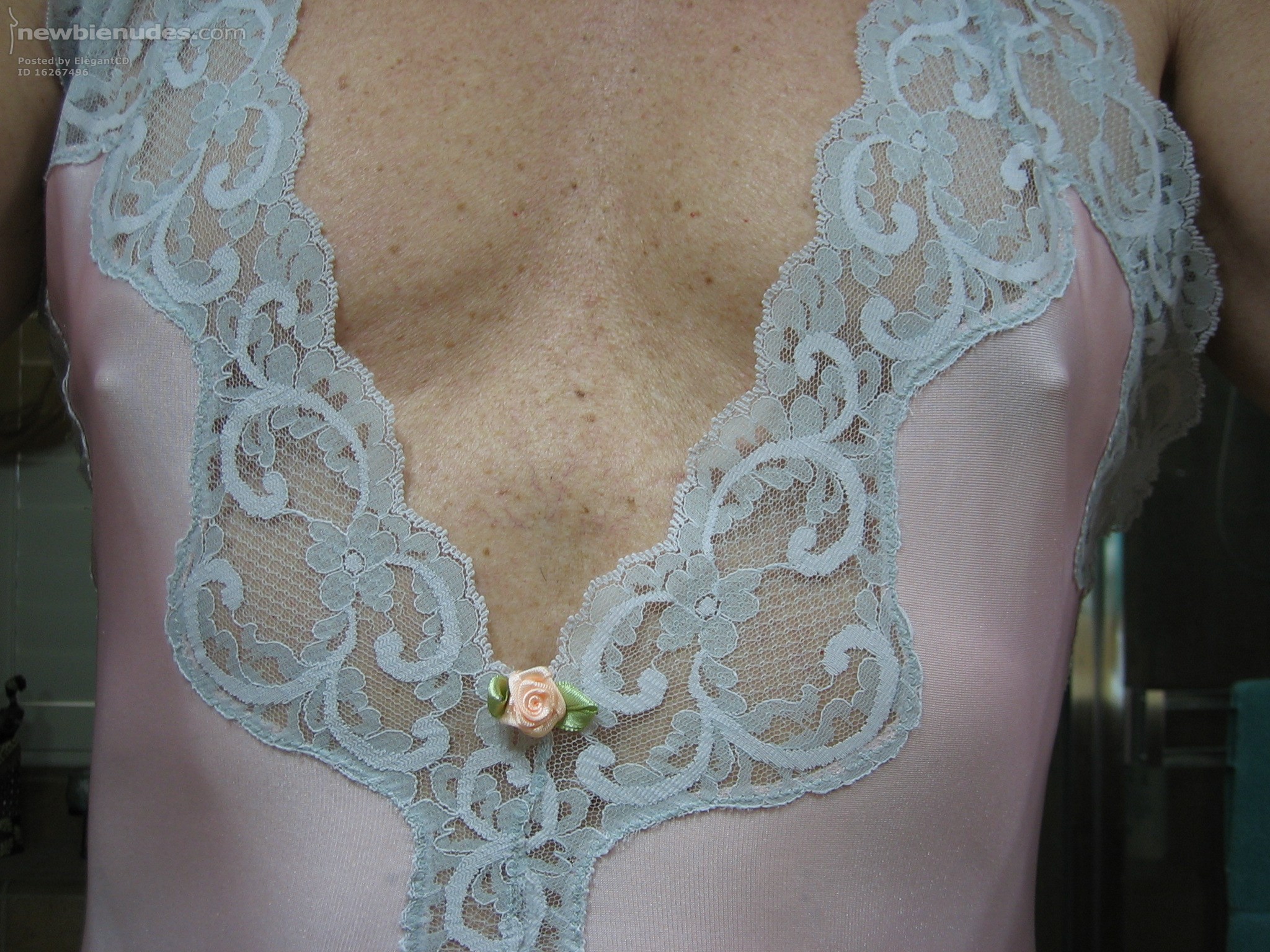 One of my sexy nightgowns