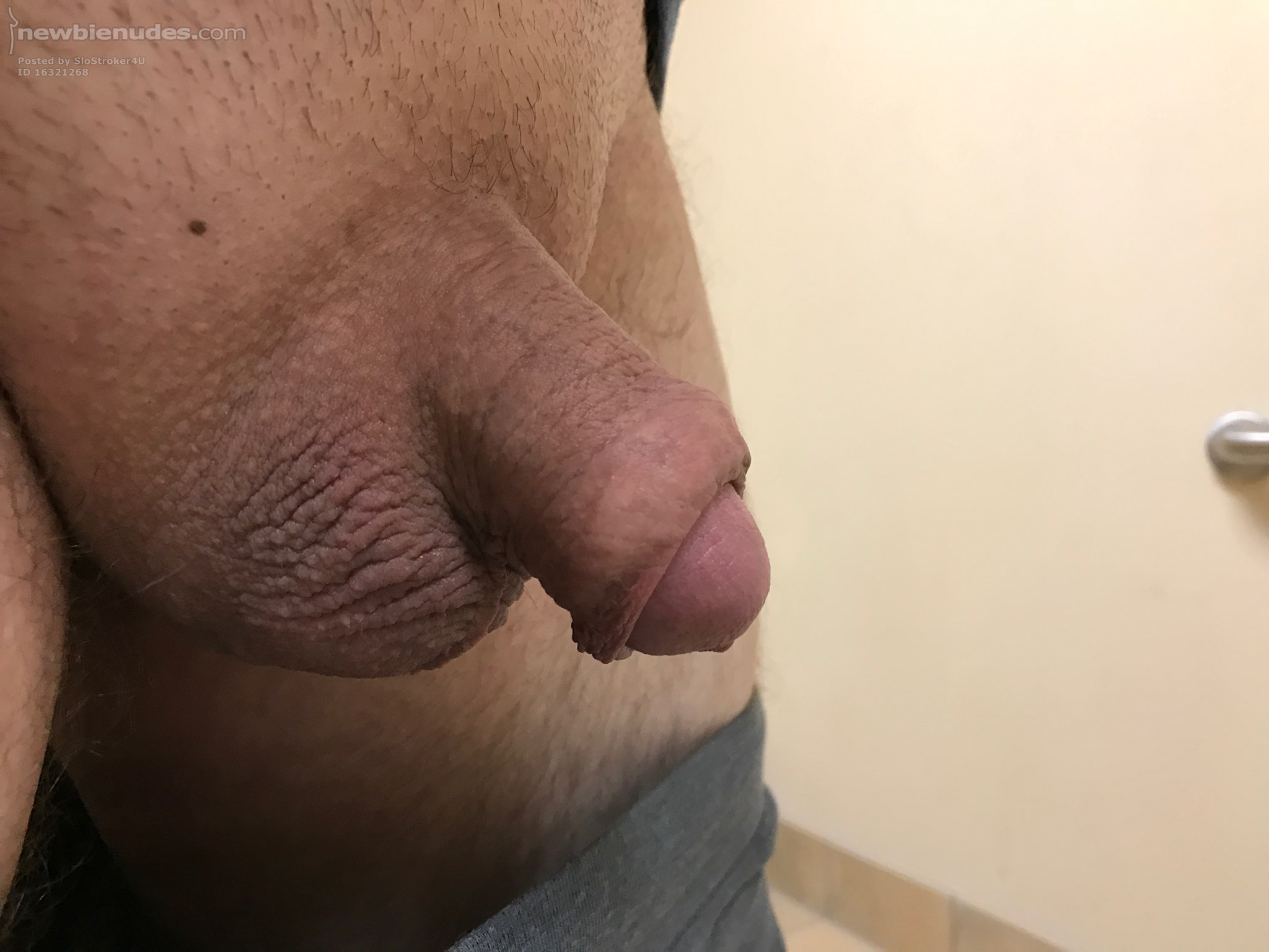 My little dick in its normal state.