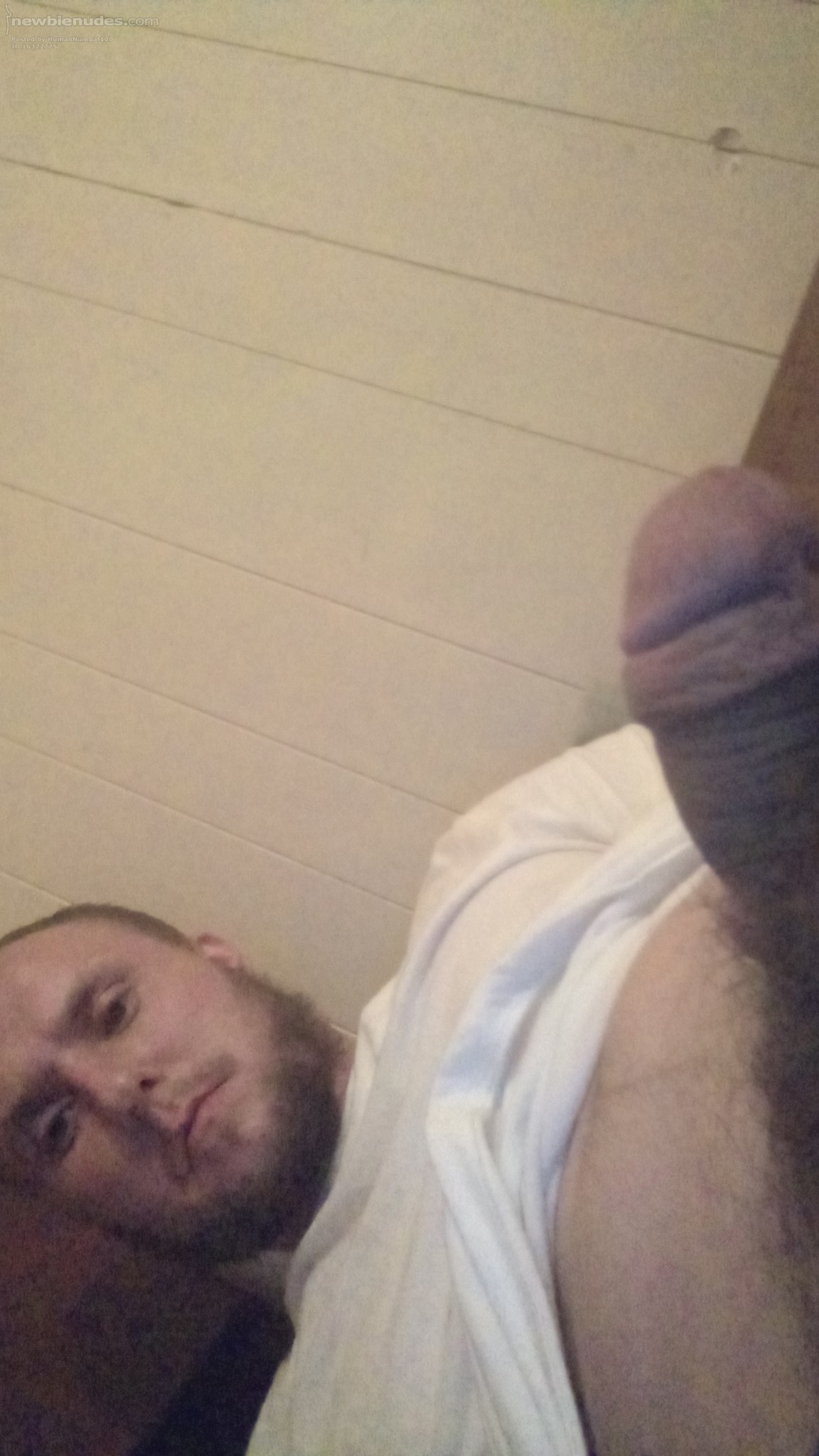 Playing with my hard cock
