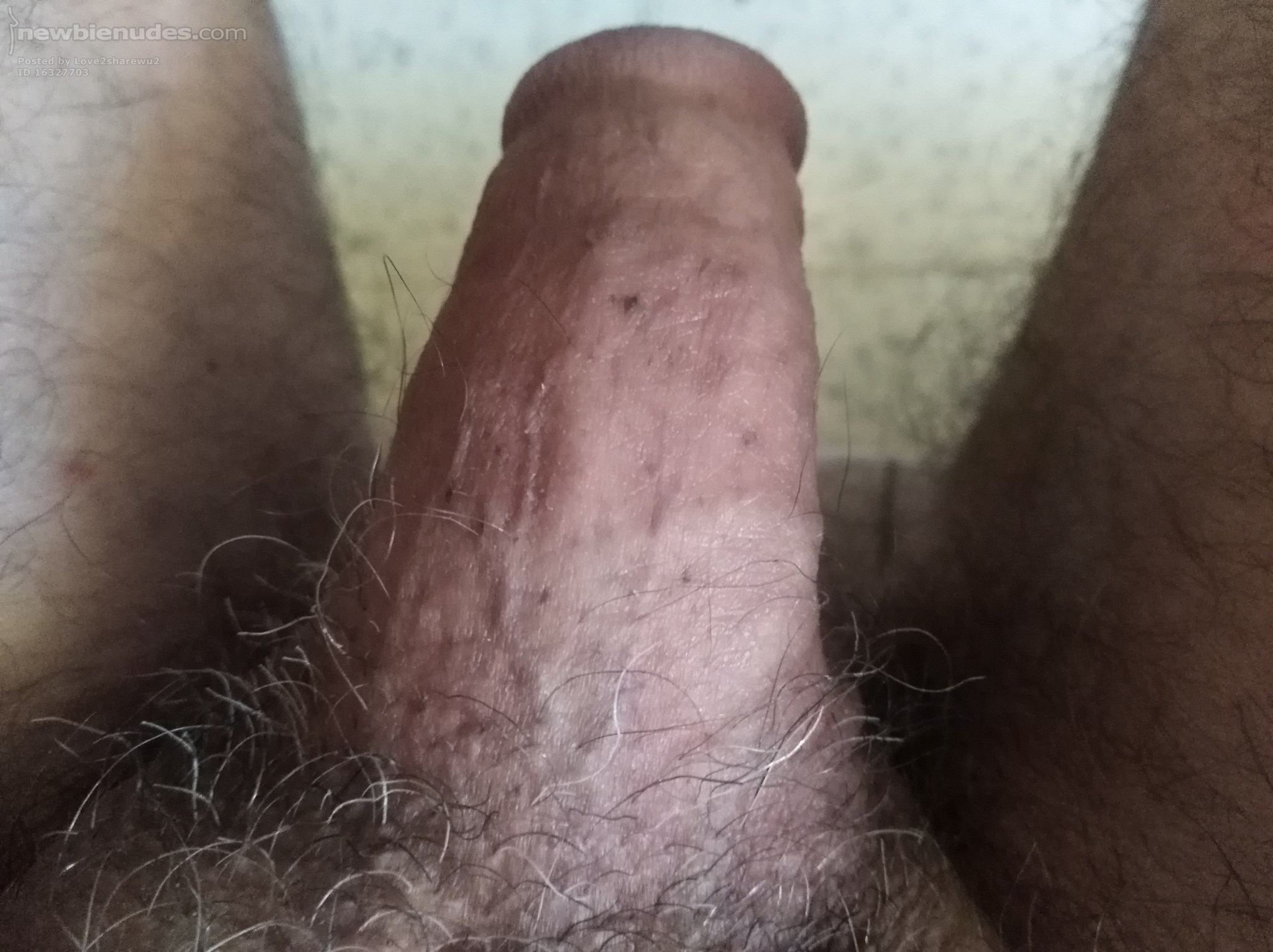 Trimmed but still not hard yet waiting for you to make him ready to please you ( Females only) 