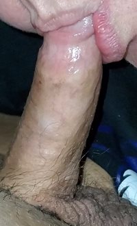 I love sucking this cock, well almost any cock this one is in my top five a...