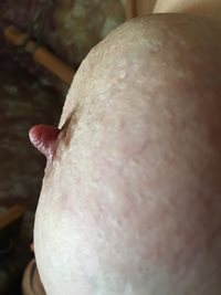 Ex's nipple. Haven't been with her in 3 years. I miss those nips!!!!!