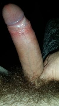 Anyone want to suck my cock?