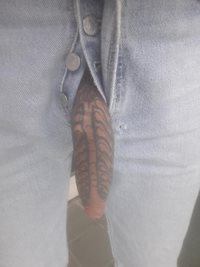 trouser snake