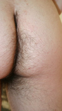 I adore licking a woman’s hairy ass crack, who else does?