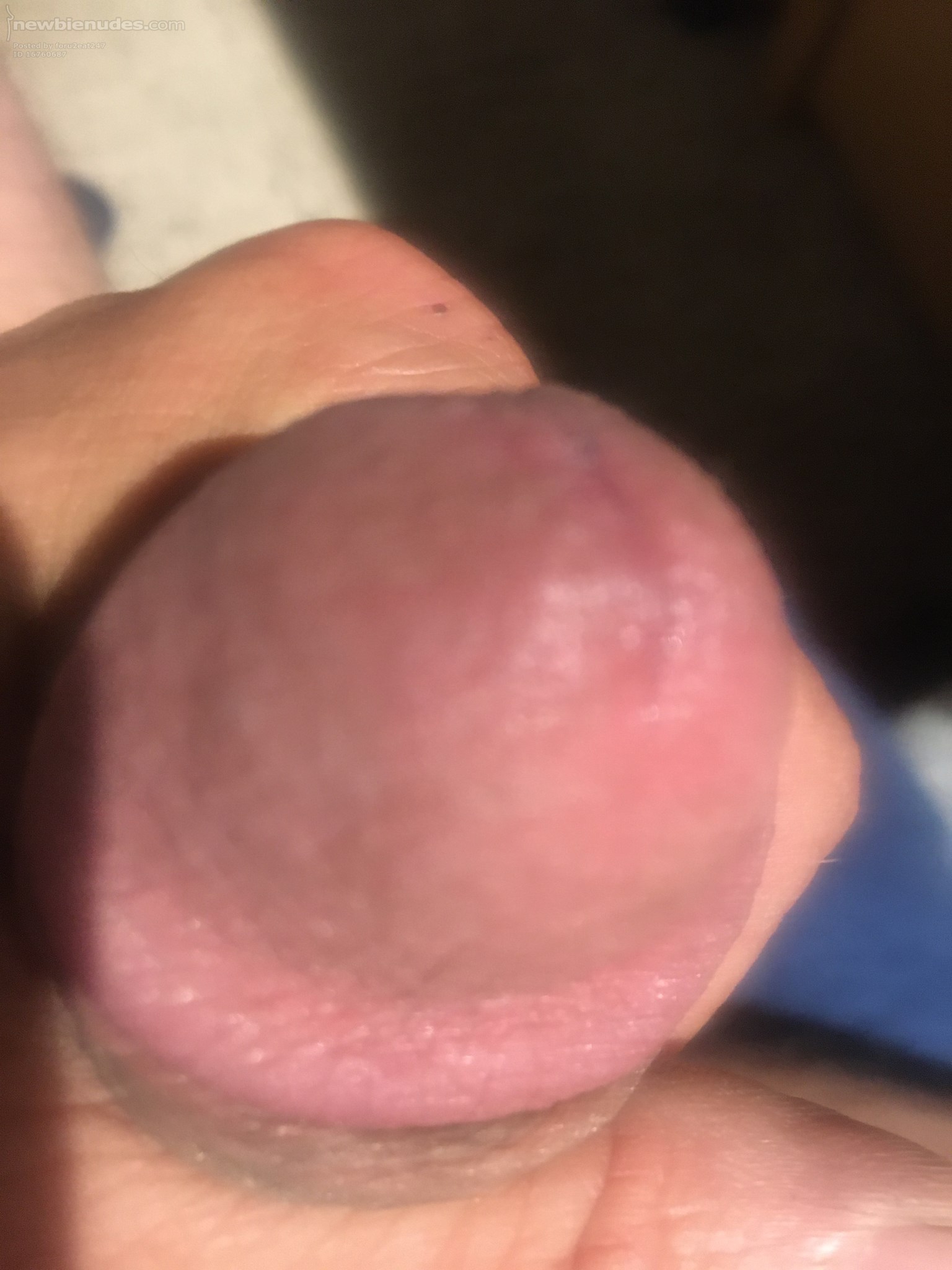 Cock Head for you to suck and lick