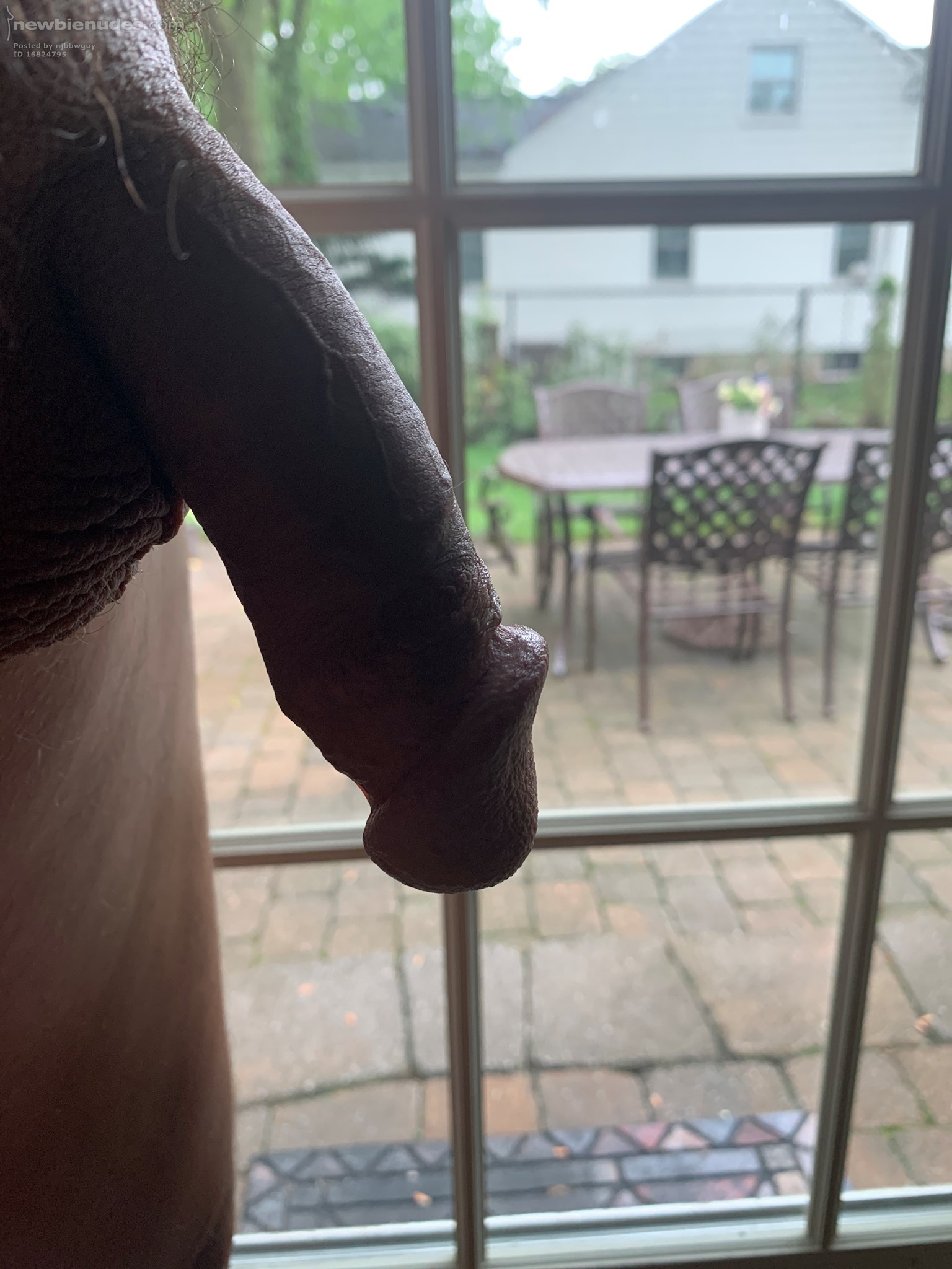 Took a couple months off from NN and deleted all my pics.  Couldn’t stay away from all you sexy people!!  Horny this morning and hoping the neighbors are looking my way!!