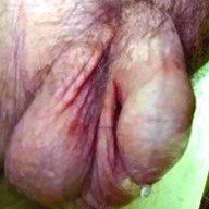 Dripping pre cum from my uncut cock for your pussy.