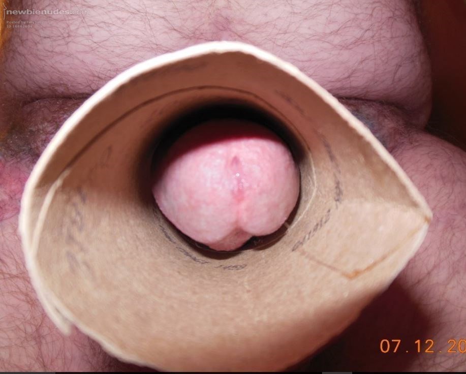 looking down a TP roll at the head of my tiny hard cock (clit!)