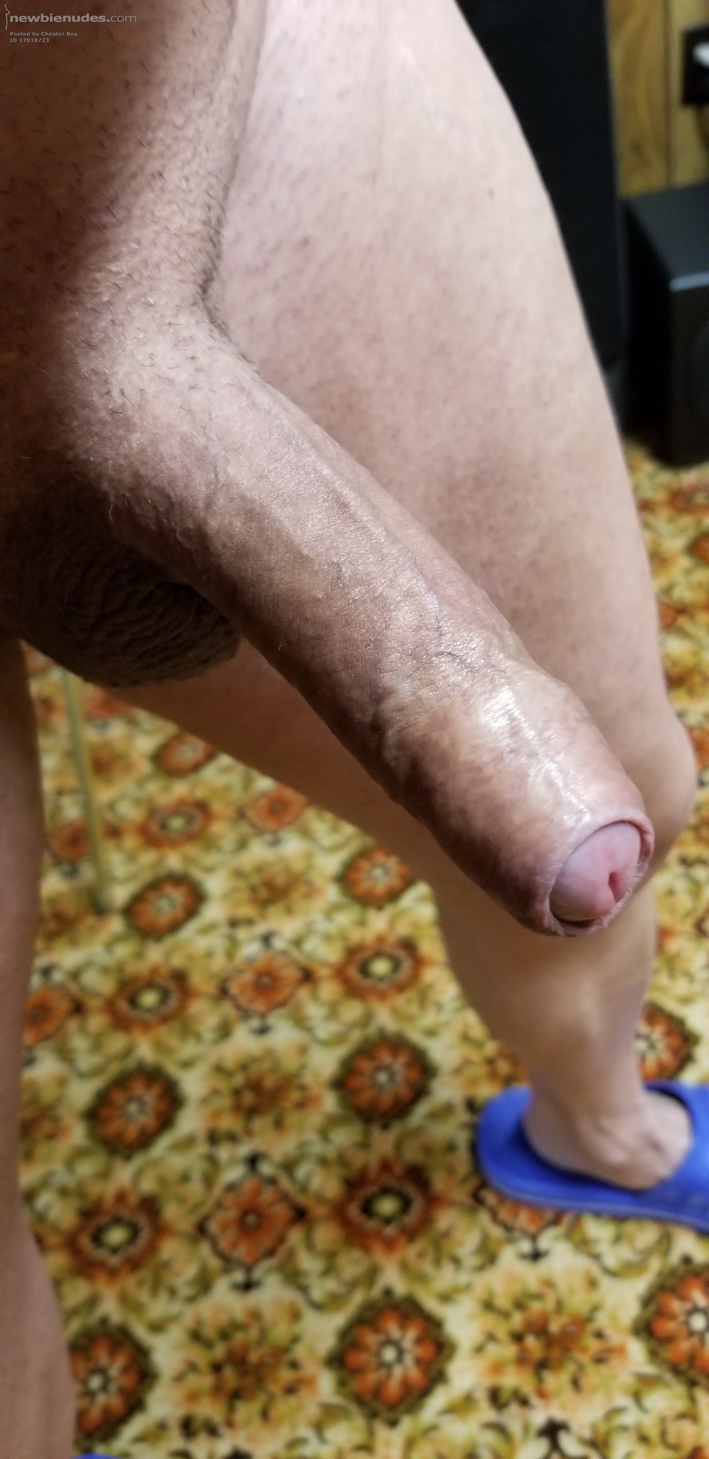 JW this is how my man clitty reacts when l download new pics for you