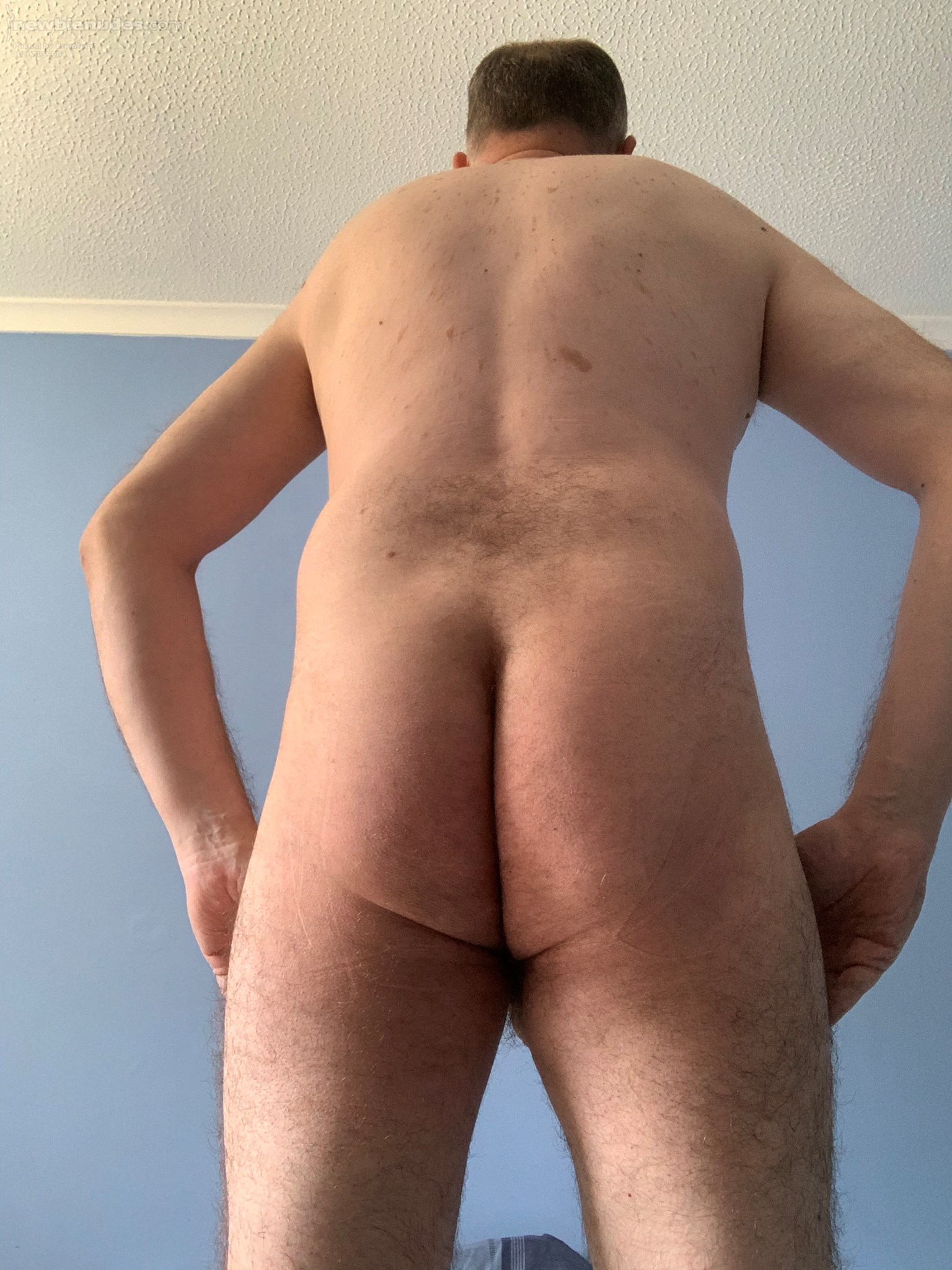 A view from the rear