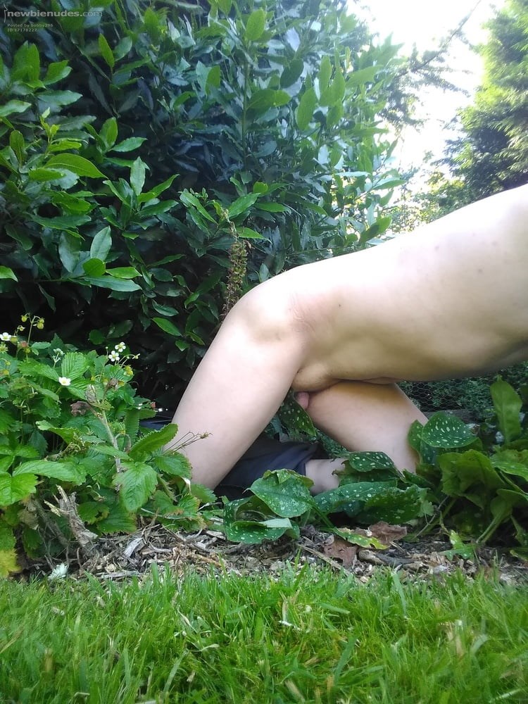 Fun in the garden